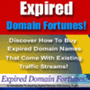 Thumbnail Expired Domain Fortunes - Make Money With Expired Domains